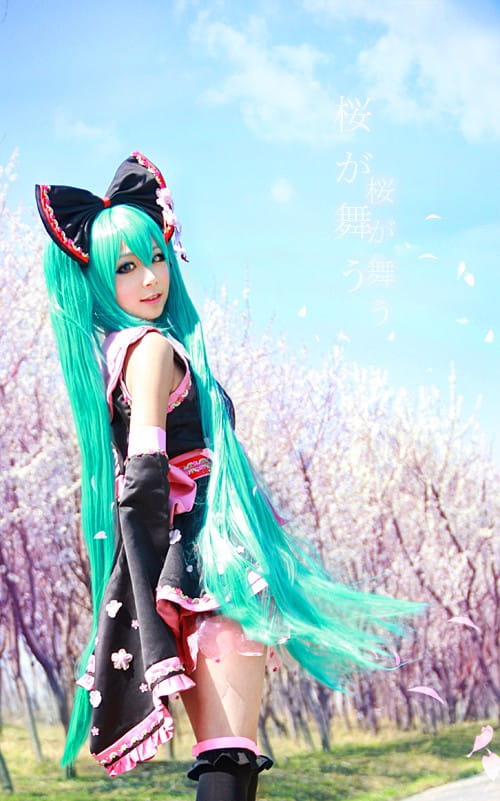 cos cosplay 萌娘 miku 初音 v家 樱花