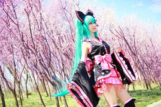 cos cosplay 萌娘 miku 初音 v家 樱花